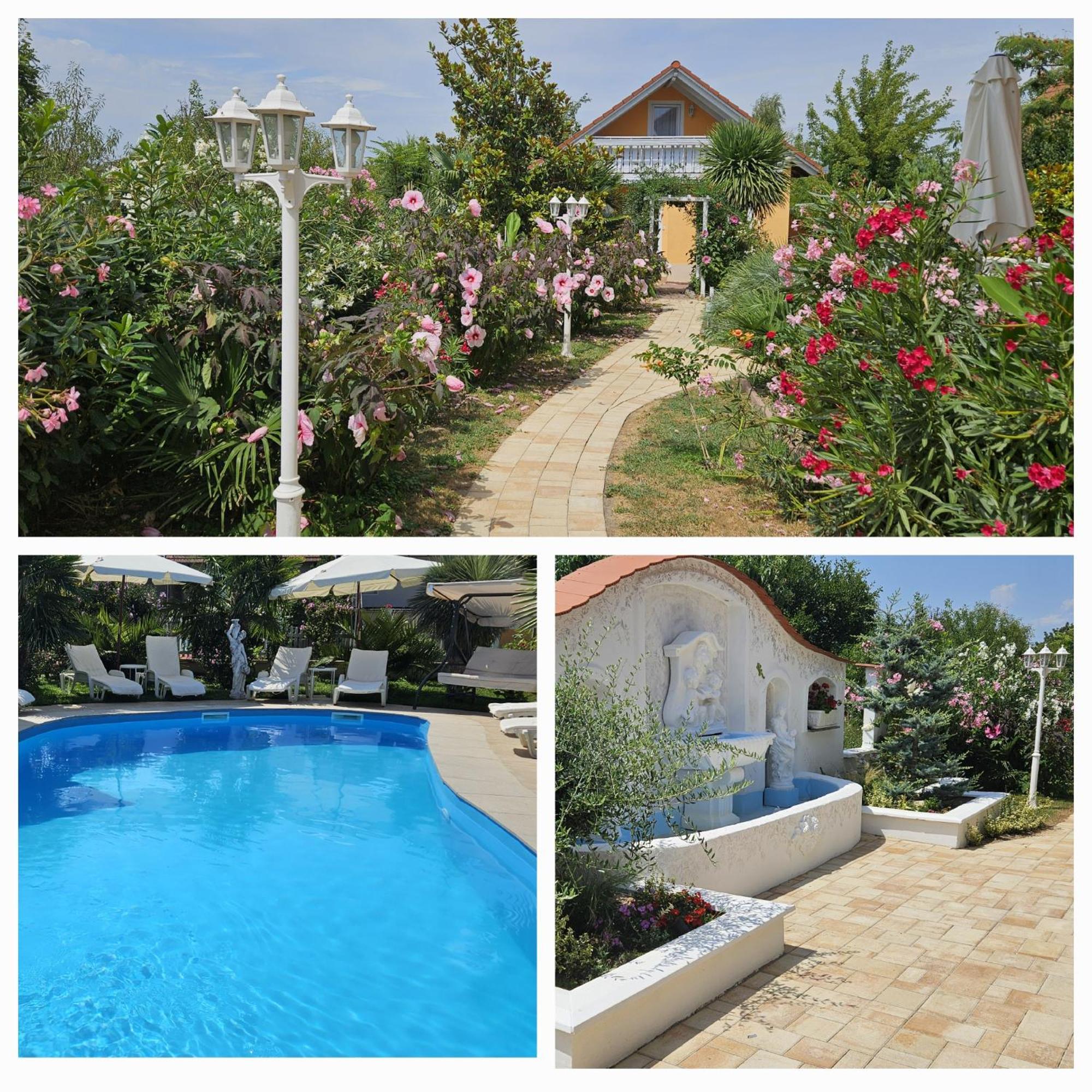 Paradise-Garden-Zamárdi Oda fotoğraf